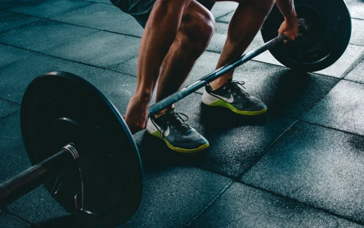 full-body circuit starters - beginner workout guide