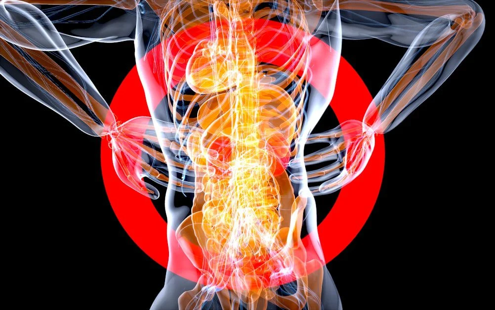 Hip Flexor Stretches: The Root Cause Fix - stretches for back pain from sitting