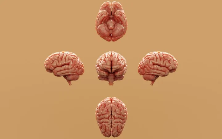 daily habits to reduce brain fog naturally - Daily Habits to Reduce Brain Fog Naturally: 9 Science-Backed Habits for Women