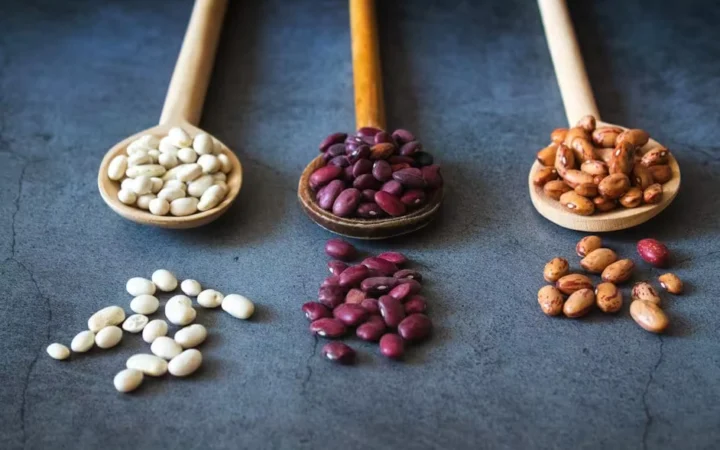 White, red and pinto beans on wooden spoons
