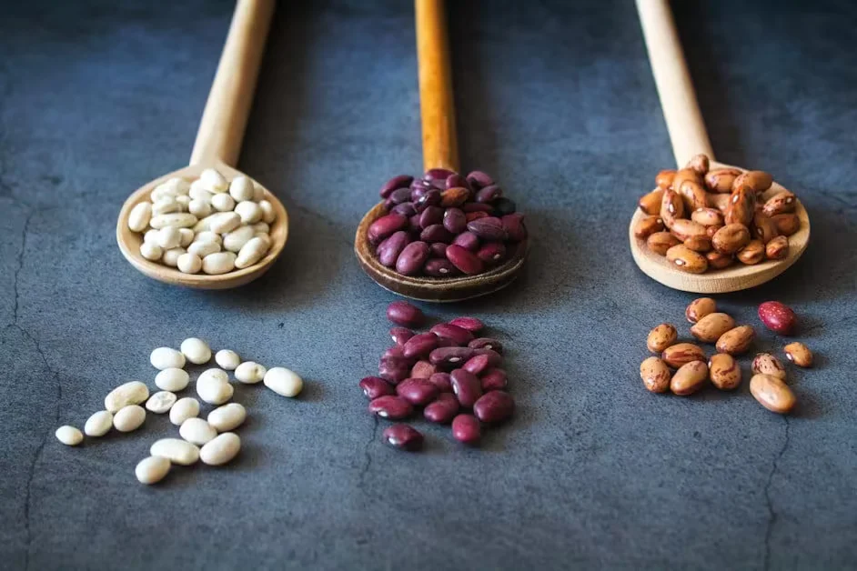 White, red and pinto beans on wooden spoons