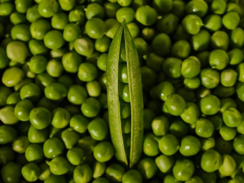 Why Legumes Are a Weight Loss Secret Weapon - high protein legume recipes for weight loss