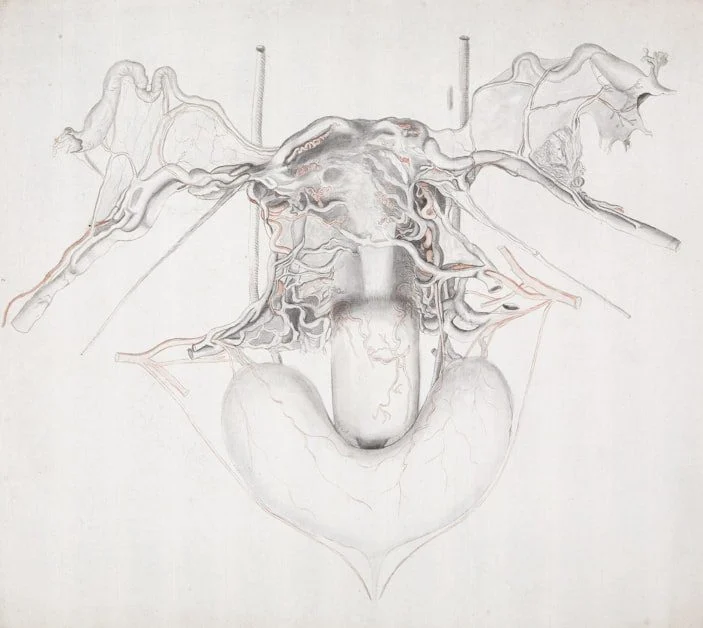 The Nervous System Piece - how to stop people pleasing as a woman