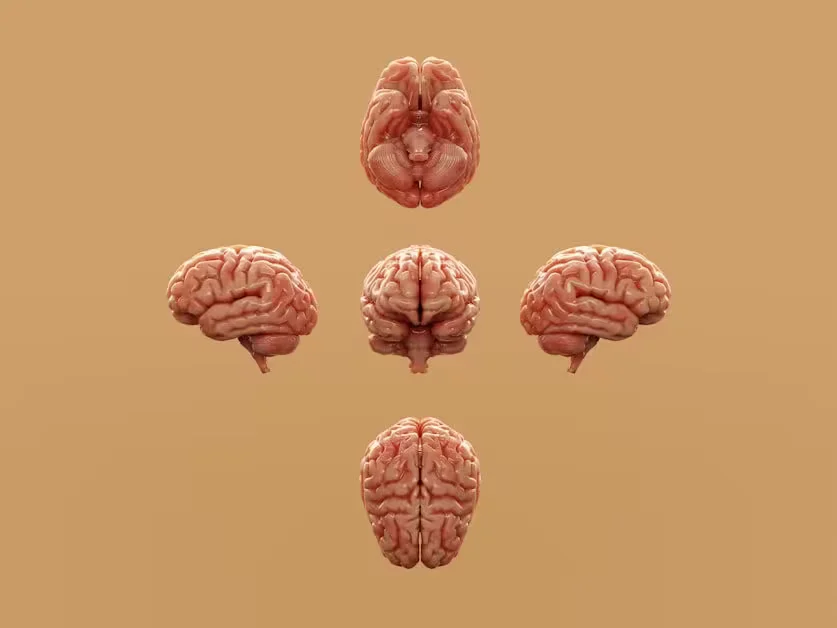 Brain Health, Mood, and Depression - omega-3 fish oil benefits for women
