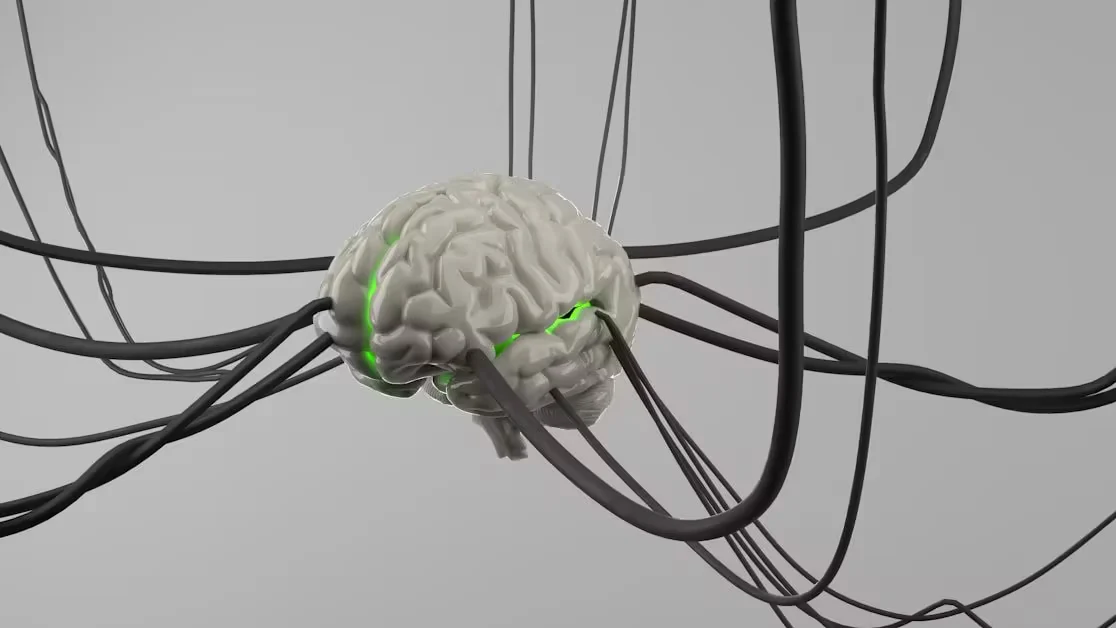 What Is Nervous System Dysregulation? - signs your nervous system is dysregulated