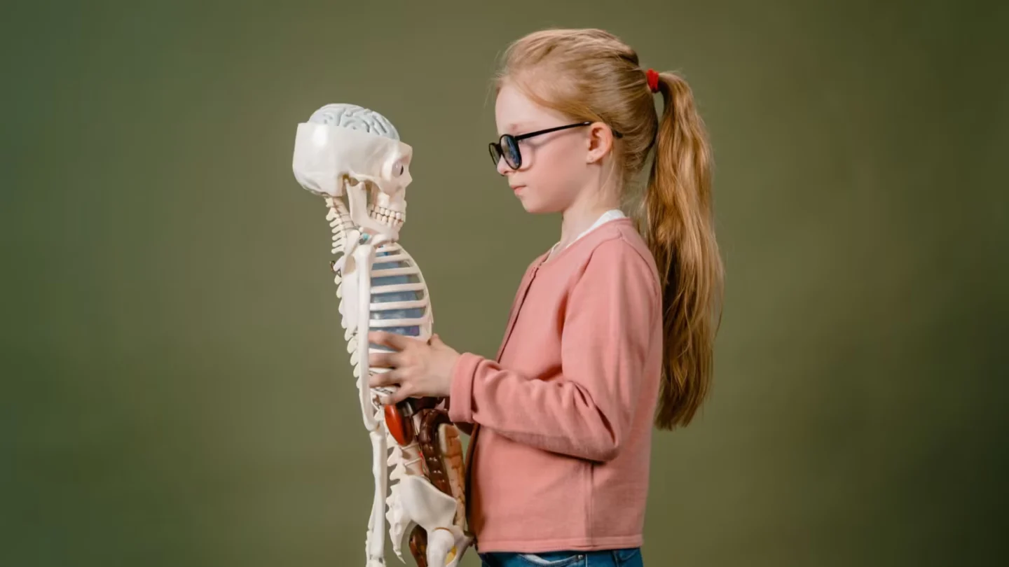 Young girl explores human skeleton model in a studio setting, showcasing curiosity and learning.