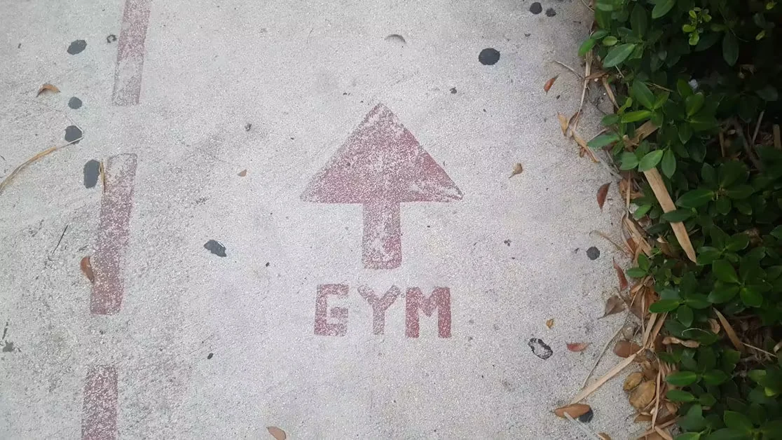 Your First Day at the Gym: A Step-by-Step Walkthrough - beginner gym routine for women