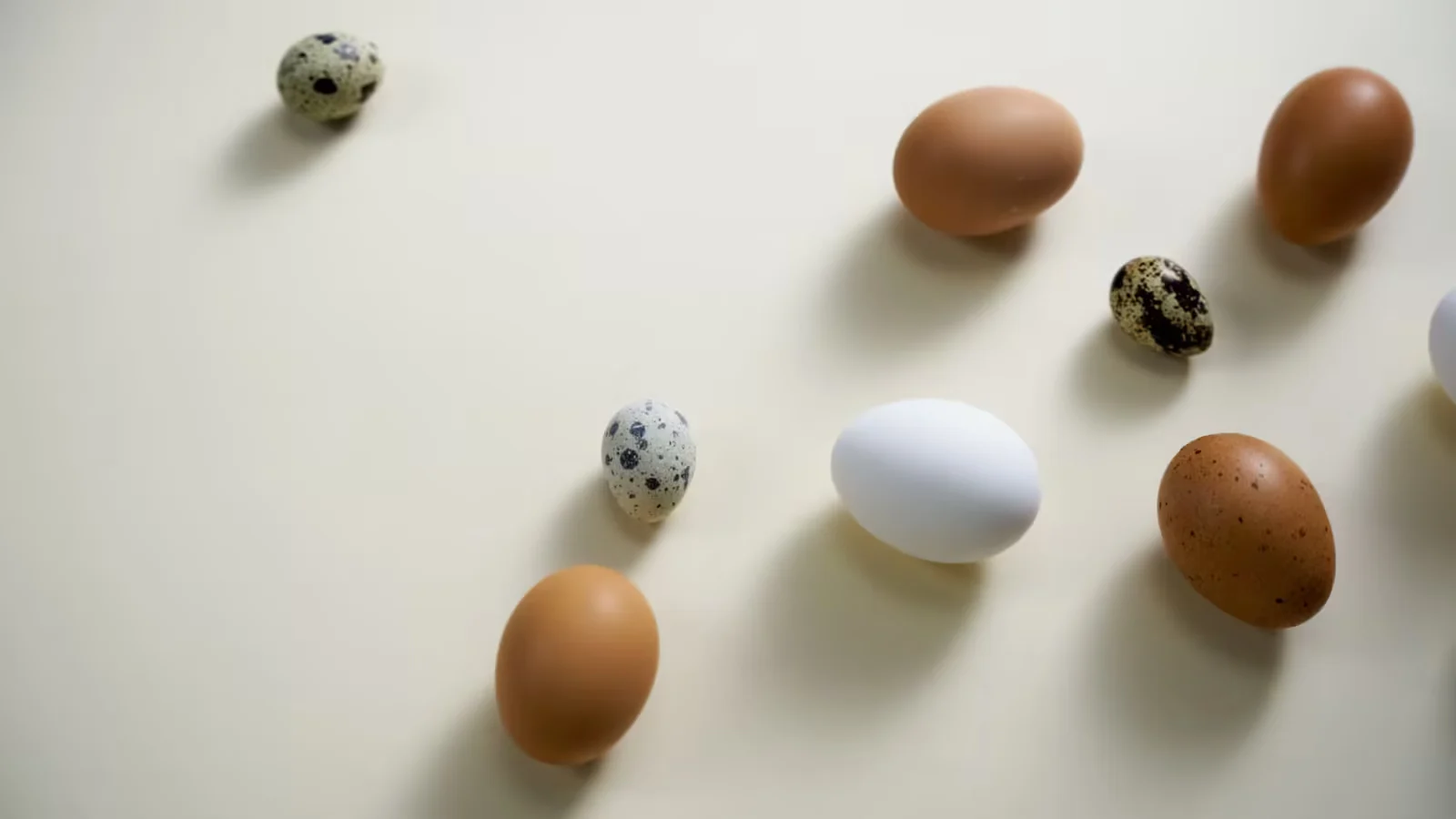 The 90-Day Egg Quality Window - best foods to eat during ovulation