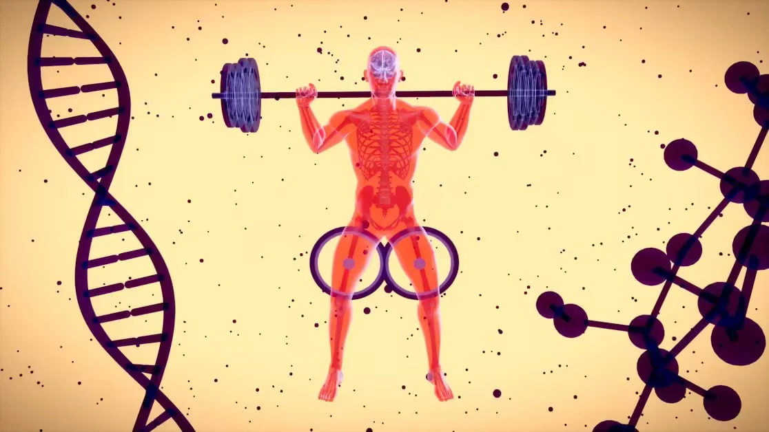 The Science Behind Beginner Gains - best home workout plan for women beginners