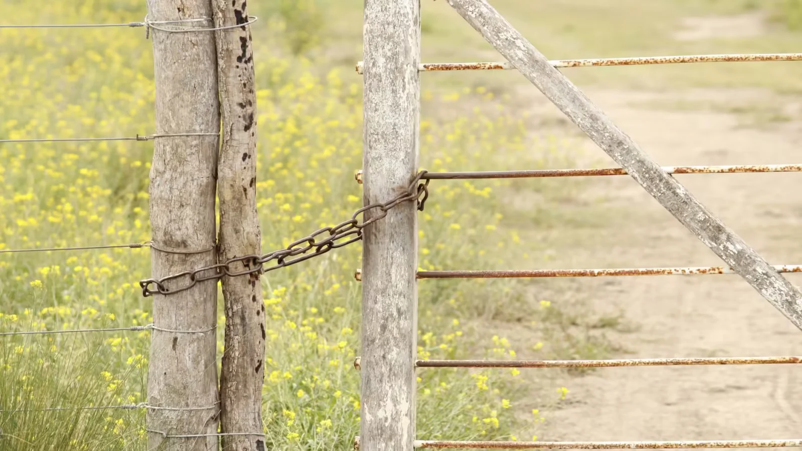 How to Set Boundaries Without Guilt: The Nervous System Layer - how to set boundaries without guilt