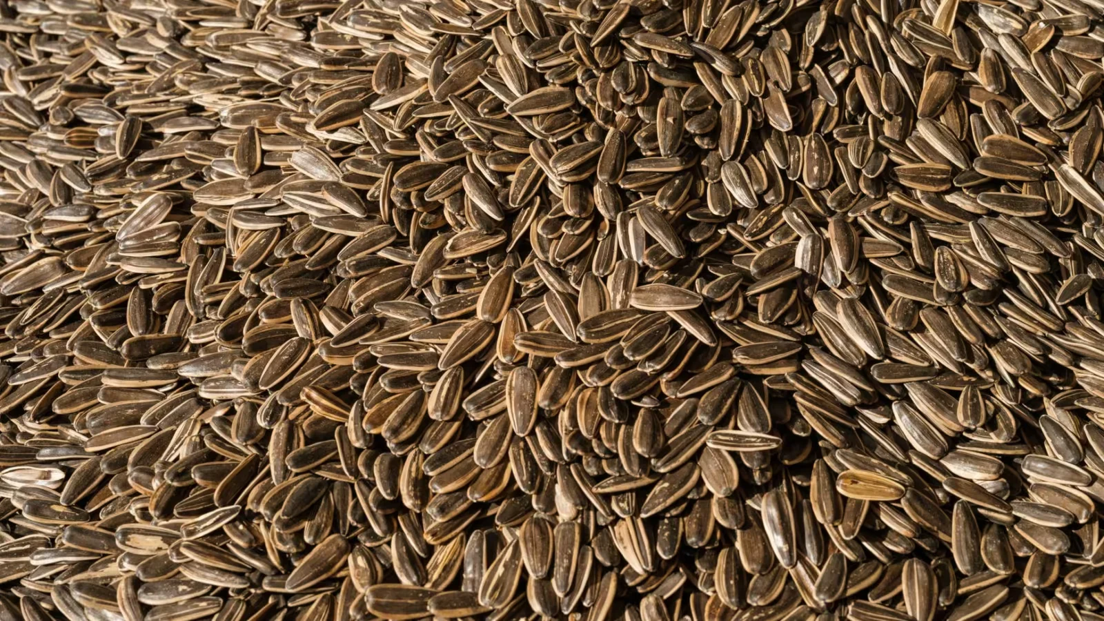 The Full Seed Cycling Protocol - seed cycling for hormone balance