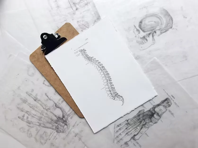 Cabin Pressure and Your Spinal Discs - back pain after flying