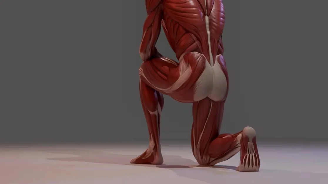 Sciatica vs Piriformis Syndrome: What Piriformis Syndrome Actually Is - sciatica vs piriformis syndrome