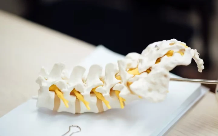 Degenerative Disc Disease Exercises: Safe Moves and What to Avoid