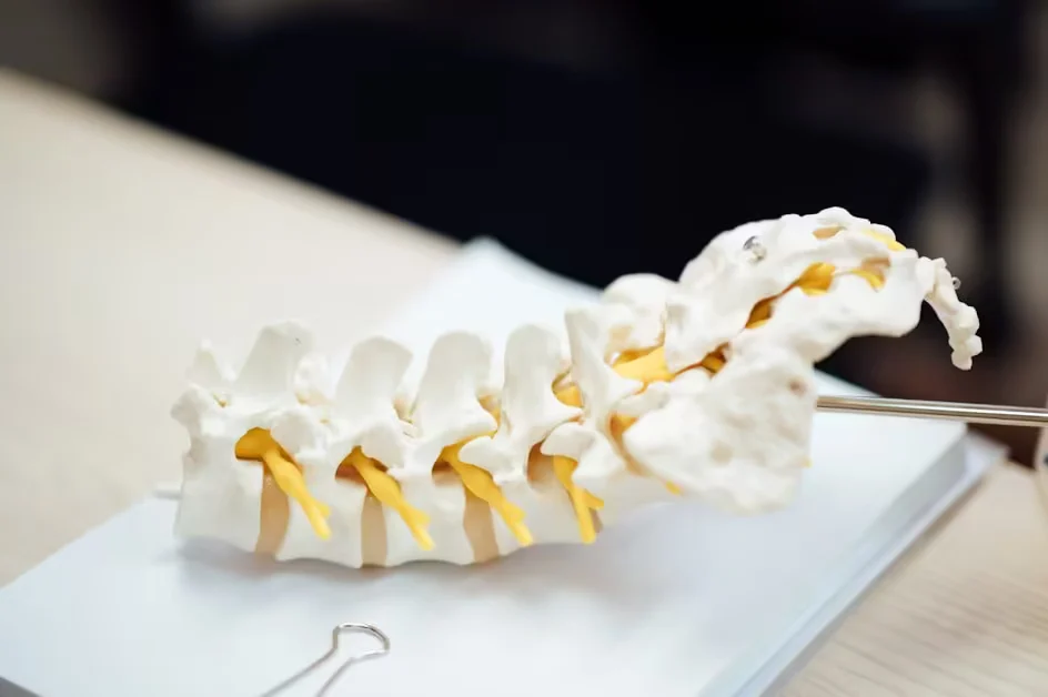 Degenerative Disc Disease Exercises: Safe Moves and What to Avoid
