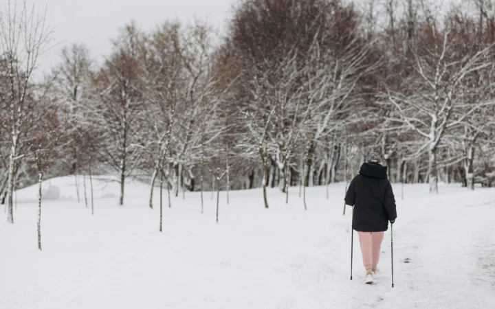 Woman walks through a snow-covered park with bare trees on a cold winter day.